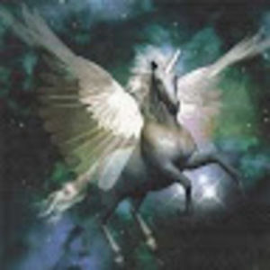 Meet your Posher, Angel